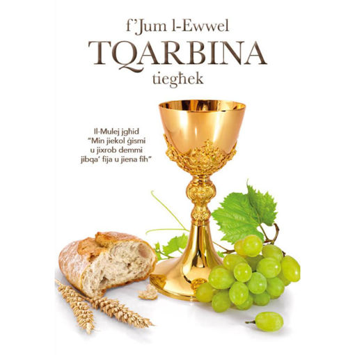 Picture of FJUM L-EWWEL TQARBINA TIEGHEK
